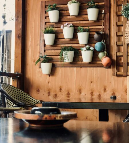 Indoor Gardening Oasis: Creating a Living Plant Wall